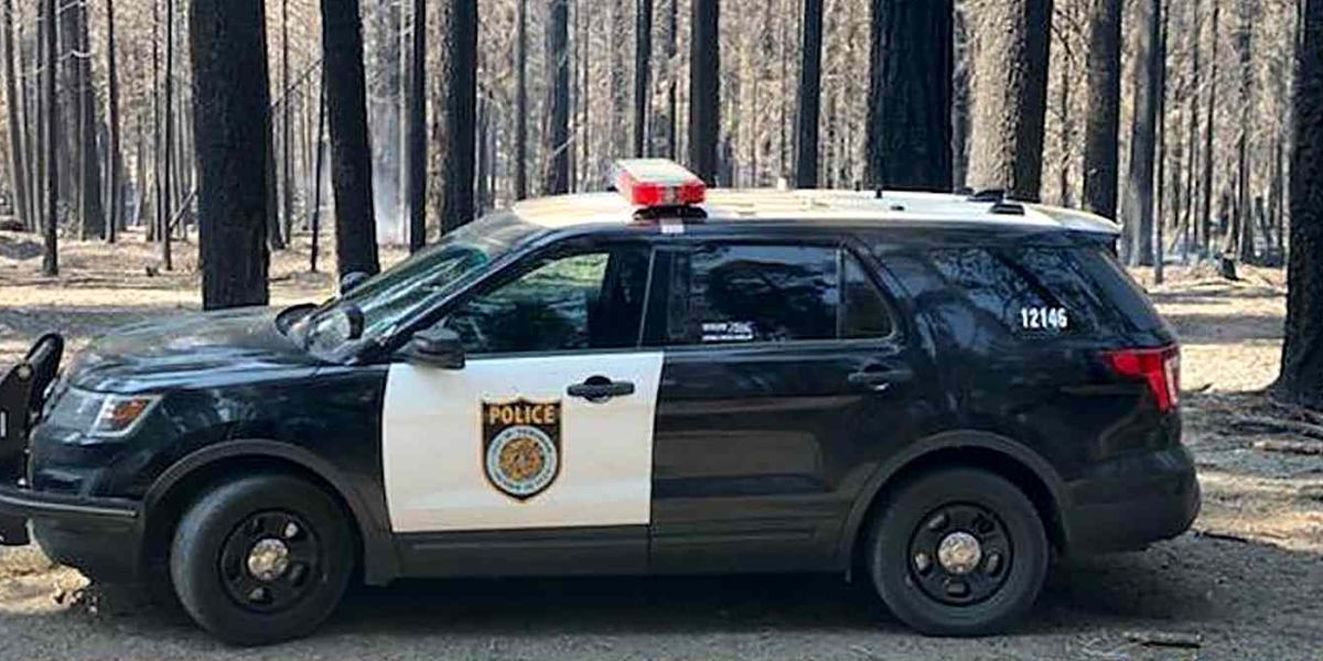 California Mother Charged After 4-year-old Son Accidentally Shoots Himself in Car