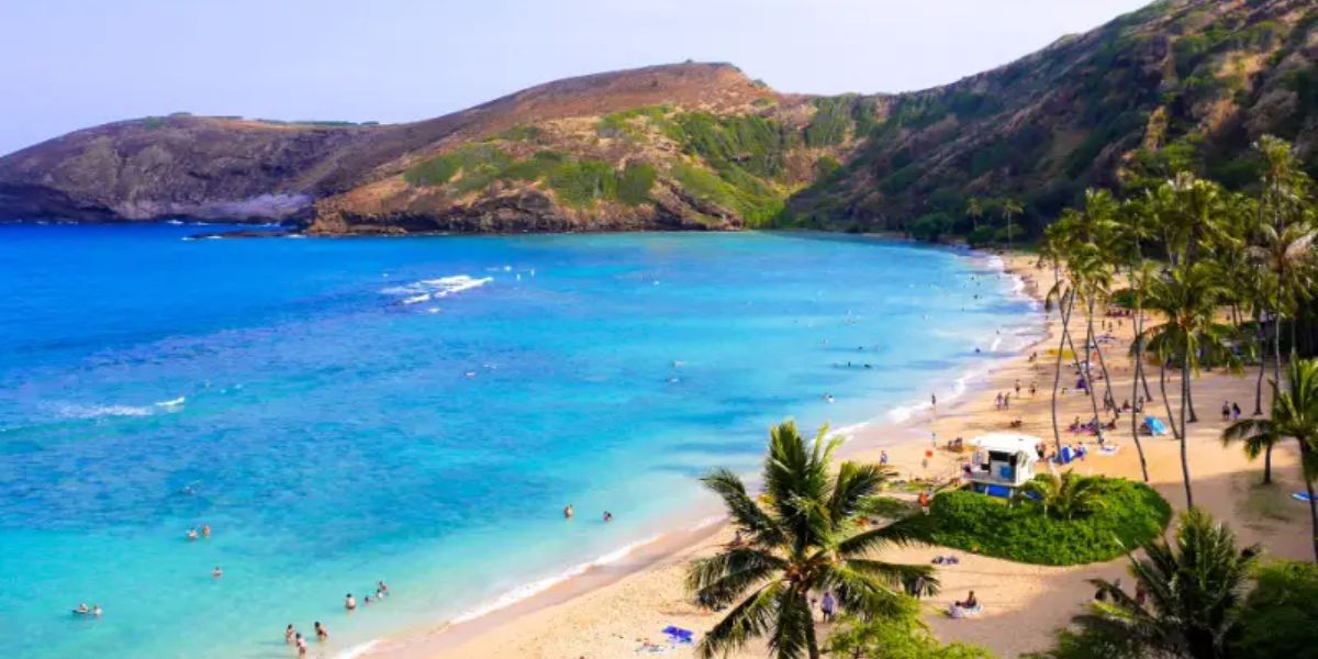 Exploring the Top 7 Best Beaches in Honolulu, Hawaii A Guide to Coastal Bliss and Adventure (1)