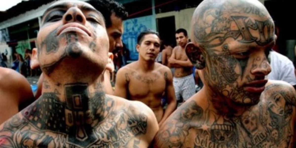 Identifying the 5 Most Dangerous Gangs Affecting California's Streets and Residents