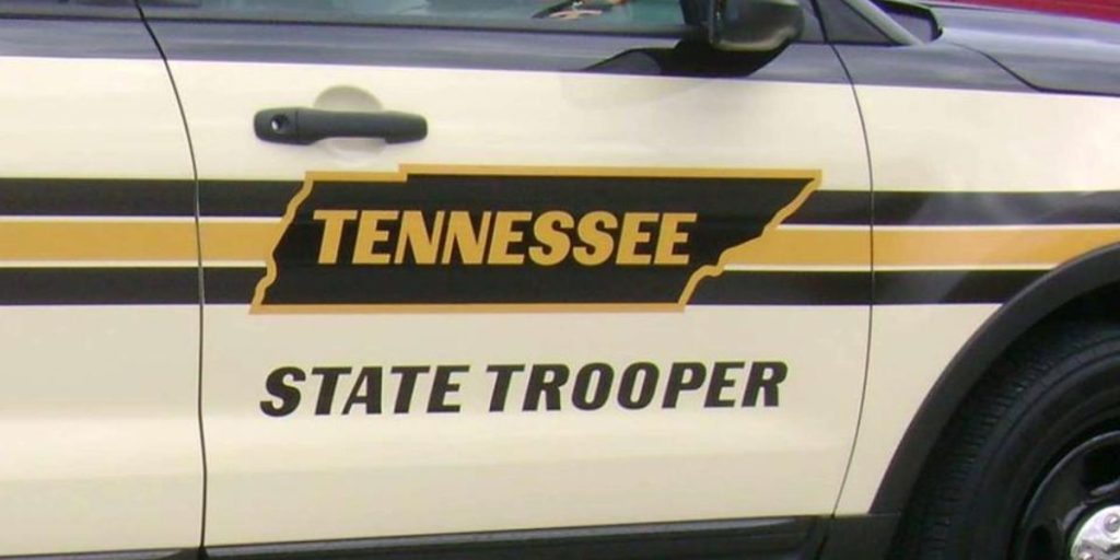 16-year-old Boy Killed in Crash Involving Black Bear on Tennessee's Stinking Creek Road