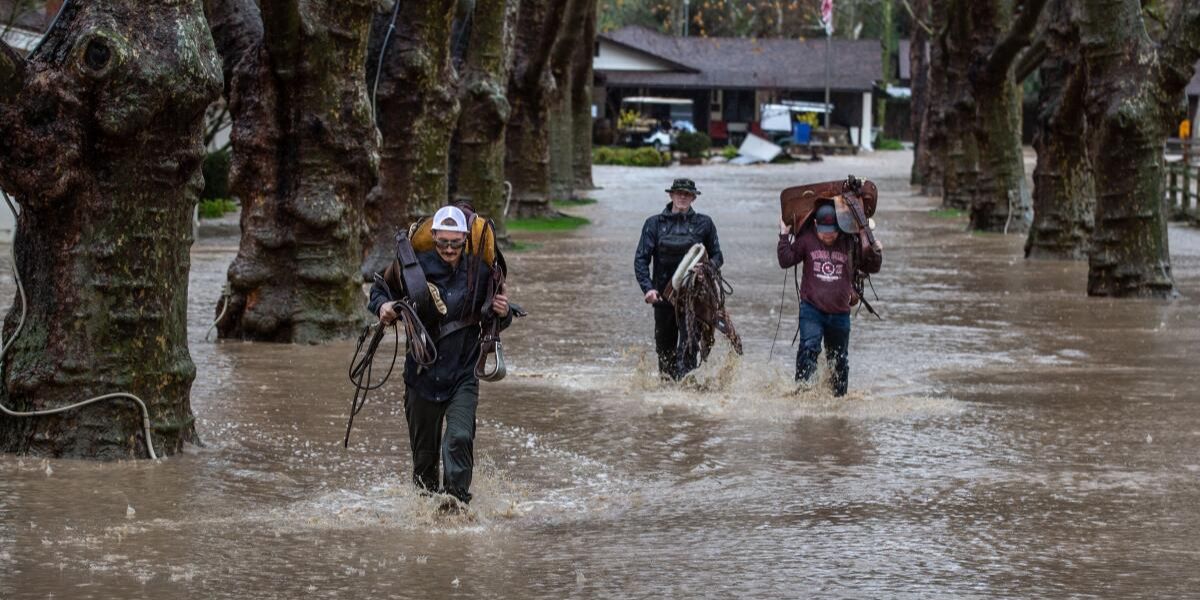 98 Mph Winds and 12 Inches of Rain Hit Northern California as Atmospheric River Unleashes Fury