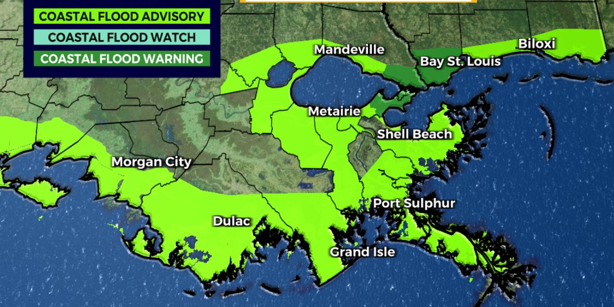 Mild Weather Brings Showers, Fog, and Cooler Temps to Mobile and Gulf Coast