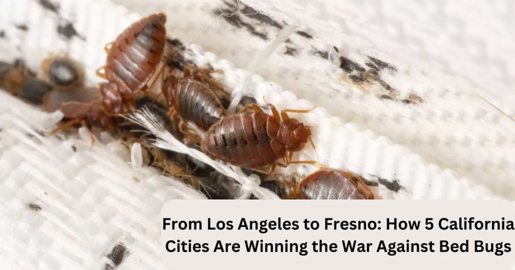 From Los Angeles to Fresno How 5 California Cities Are Winning the War Against Bed Bugs