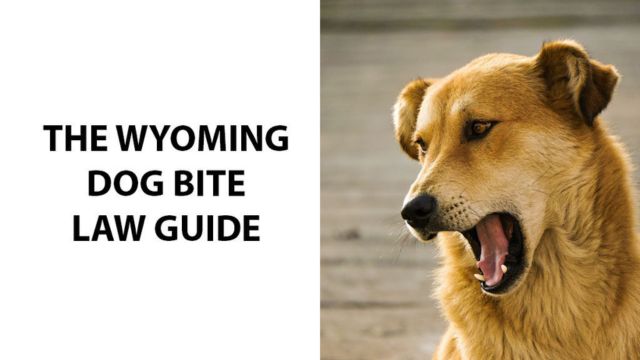 Understanding Dog Tethering Laws and Penalties in Wyoming